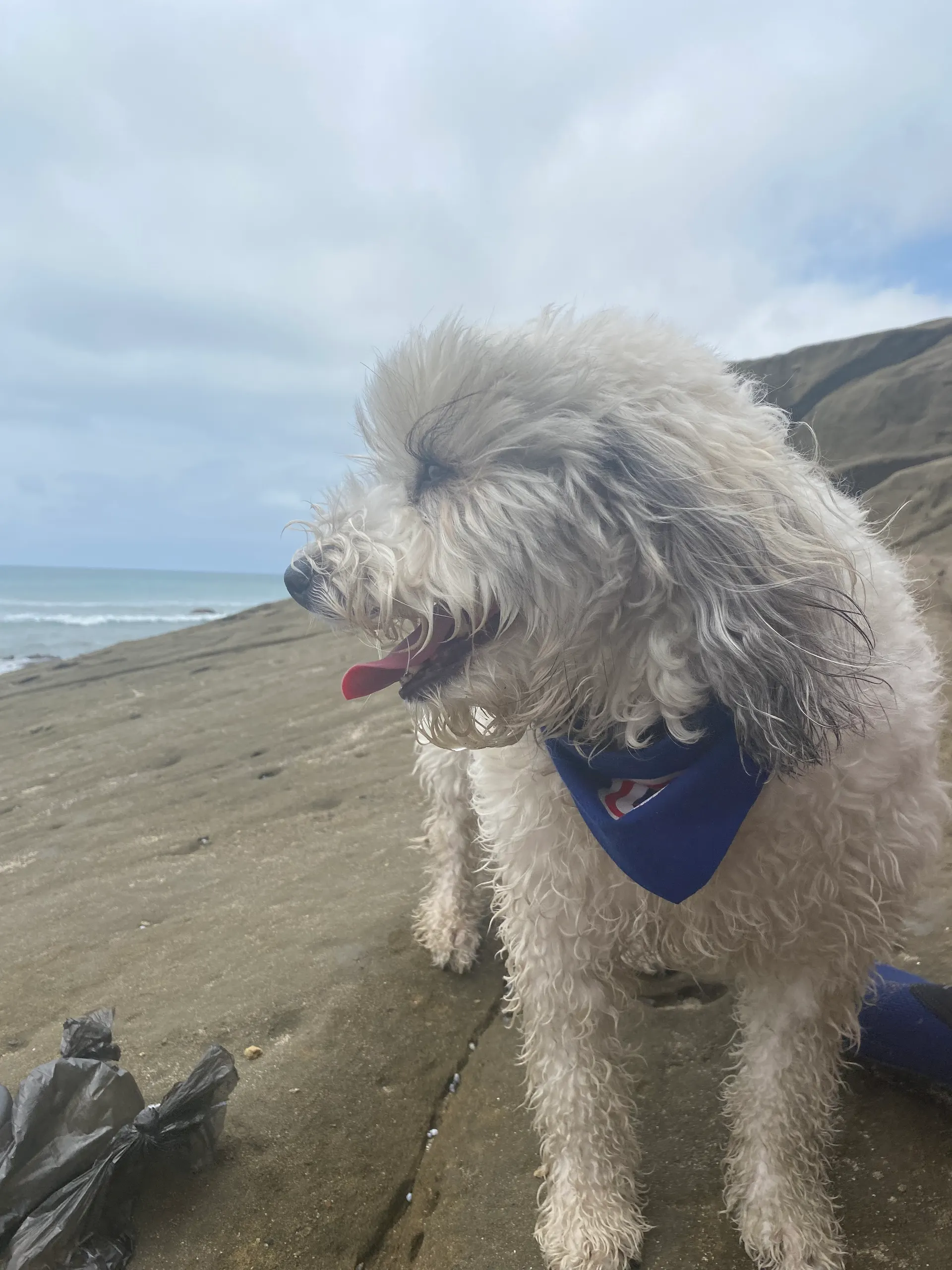 Cooper en una aventura junto al mar